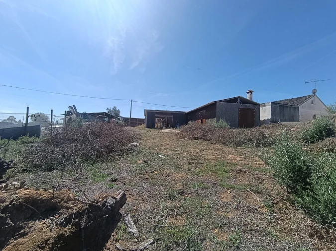 Terreno para Venda em Sardoal Foto 5