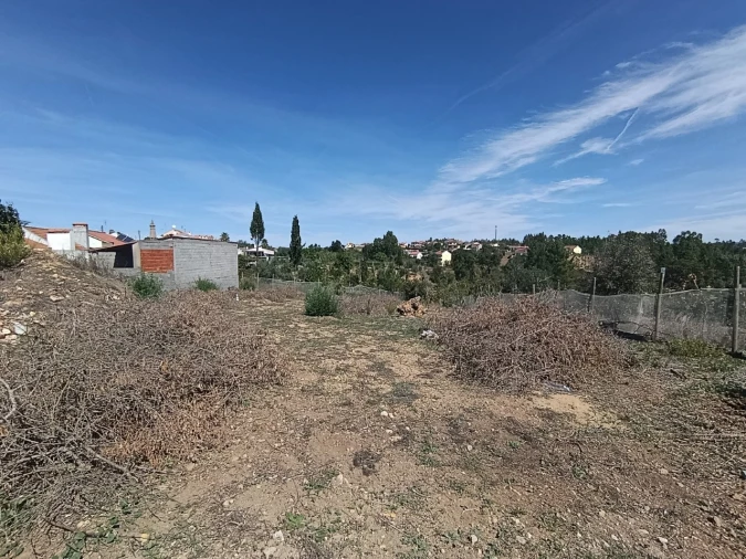 Terreno para Venda em Sardoal Foto 6