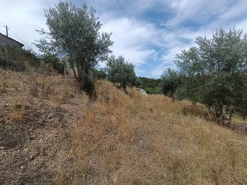 Moradia T5 para Venda em Carvalhal