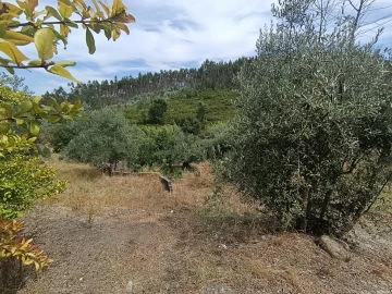 Moradia T5 para Venda em Carvalhal