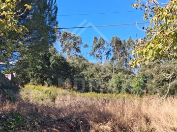 Terreno para Venda em Benedita