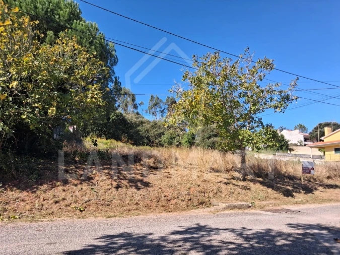 Terreno para Venda em Benedita Foto 2
