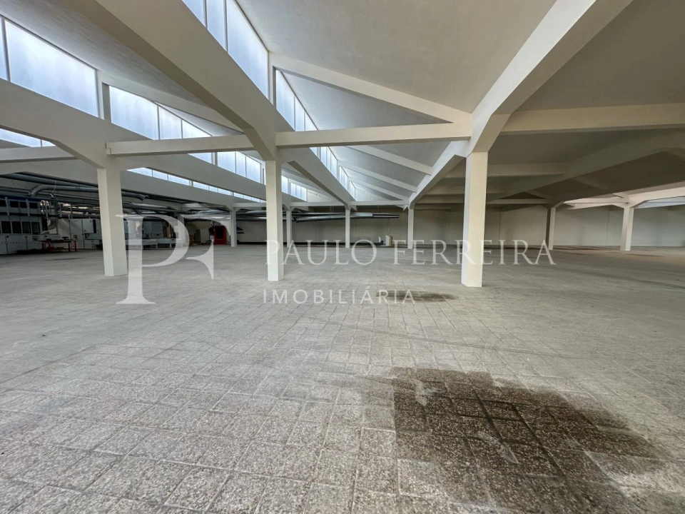 Armazém para Venda em Avidos e Lagoa Foto 7