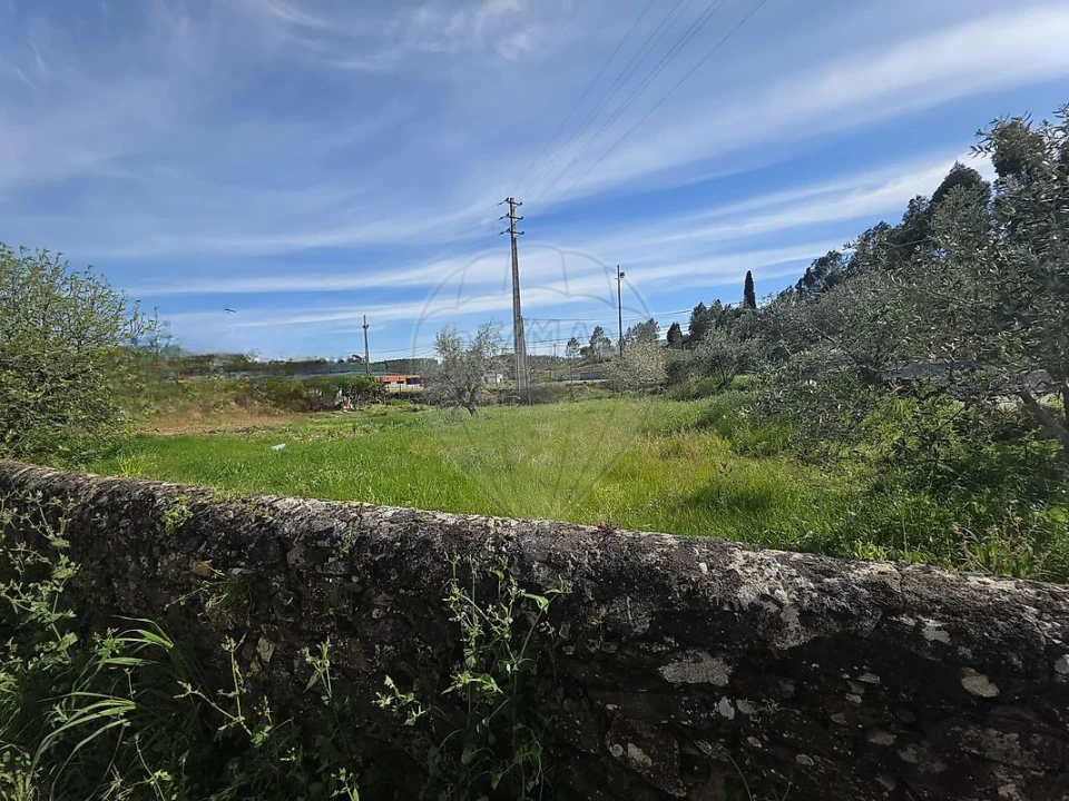 Terreno para Venda em Envendos Foto 2