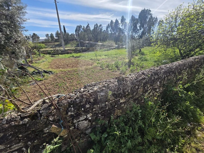 Terreno para Venda em Envendos Foto 5