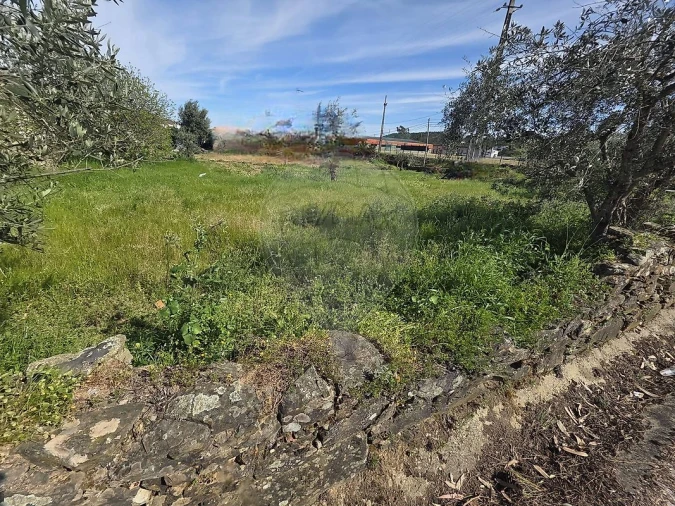 Terreno para Venda em Envendos Foto 6