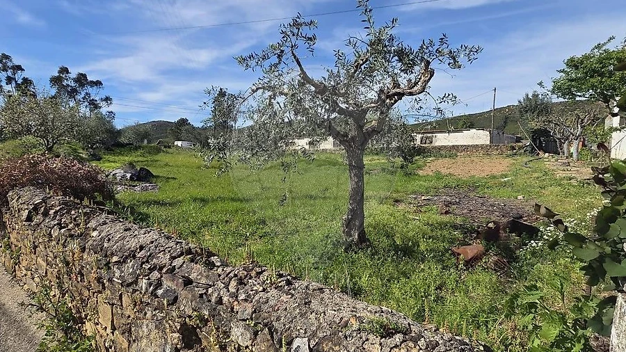 Terreno para Venda em Envendos
