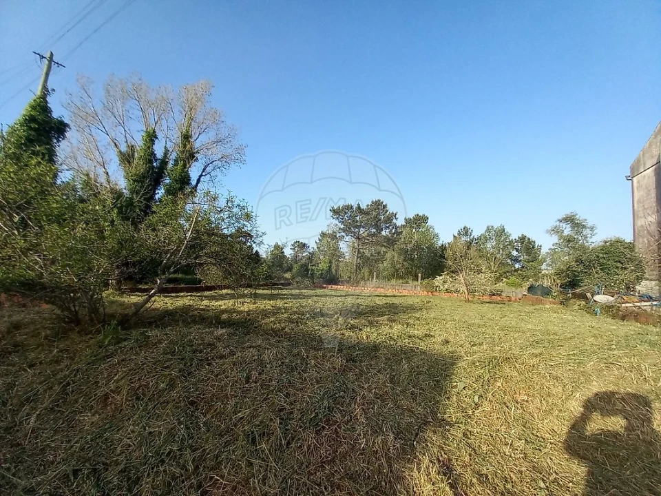 Armazém para Venda em Cernache Foto 1