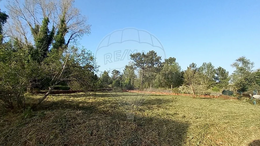 Armazém para Venda em Cernache