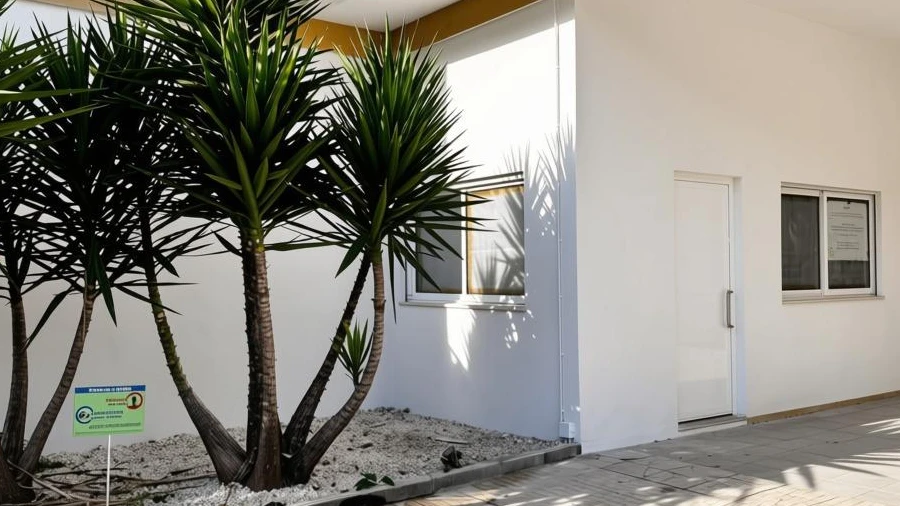 Apartamento T2 para Venda em Real, Dume e Semelhe