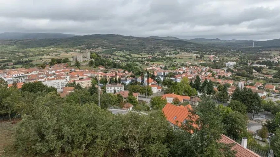 Terreno para Venda em Montalegre e Padroso Foto 9