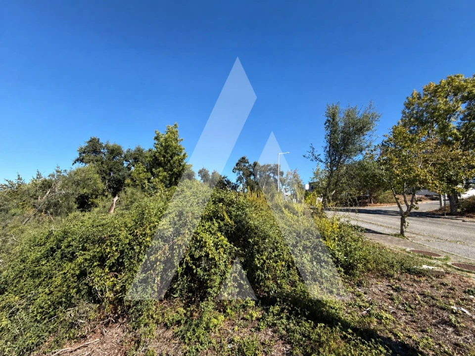 Terreno para Venda em Leiria, Pousos, Barreira e Cortes Foto 4