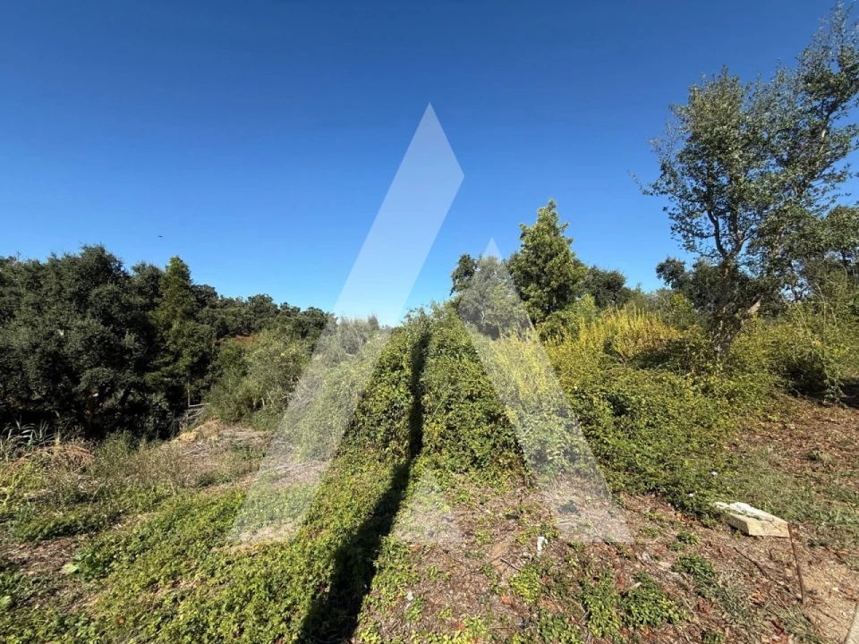 Terreno para Venda em Leiria, Pousos, Barreira e Cortes Foto 5