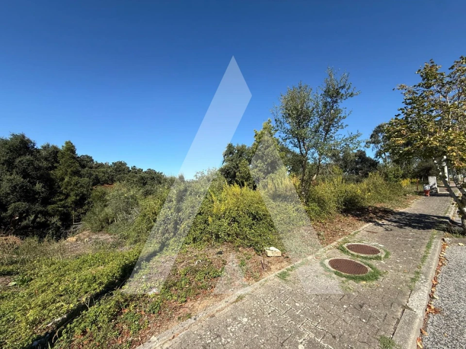 Terreno para Venda em Leiria, Pousos, Barreira e Cortes Foto 9