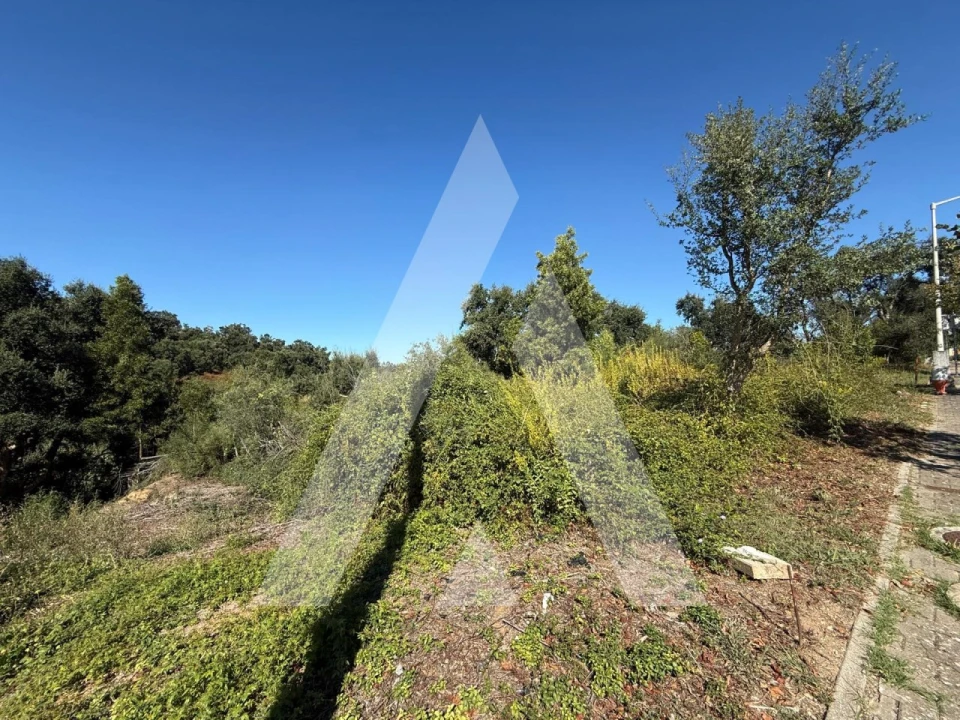 Terreno para Venda em Leiria, Pousos, Barreira e Cortes Foto 2