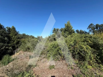 Terreno para Venda em Leiria, Pousos, Barreira e Cortes