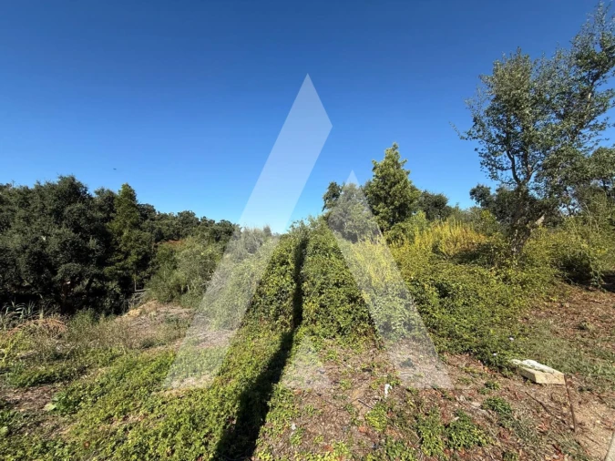 Terreno para Venda em Leiria, Pousos, Barreira e Cortes Foto 5