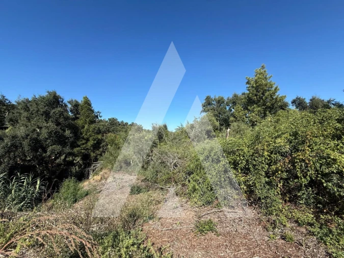 Terreno para Venda em Leiria, Pousos, Barreira e Cortes Foto 7