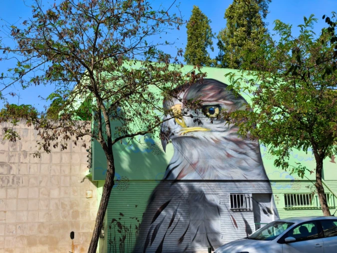 Armazém para Arrendamento em União das Freguesias de Setúbal Foto 12