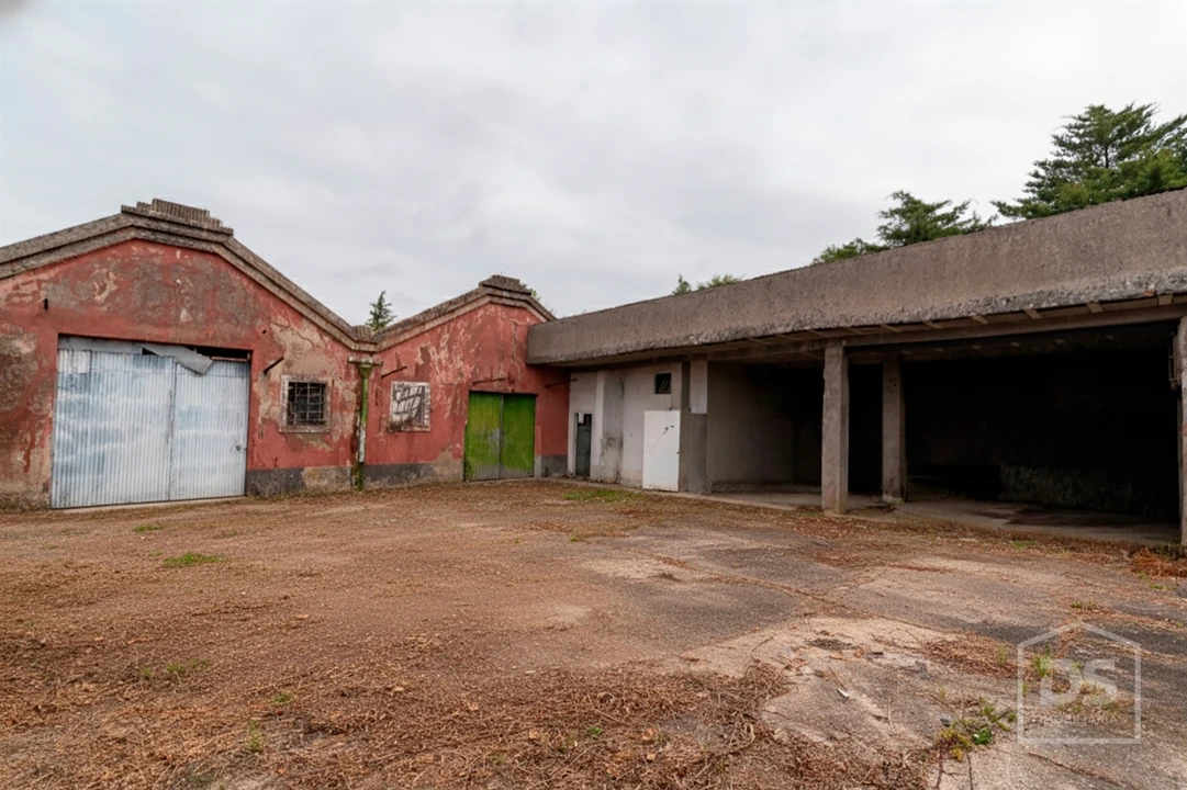 Armazém para Venda em Alhadas Foto 9
