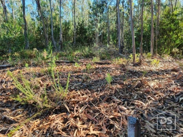 Terreno Agricola ou Rústico para Venda em Moinhos de Gandara