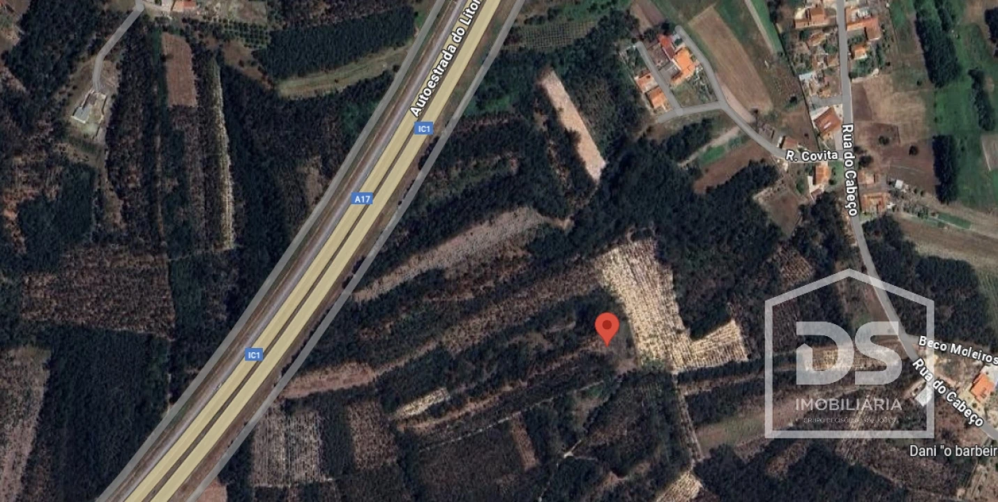 Terreno Agricola ou Rústico para Venda em Moinhos de Gandara Foto 11