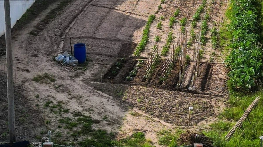 Terreno para Venda em Alhadas