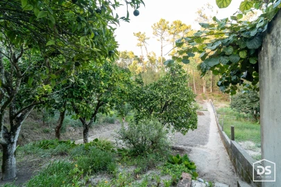 Moradia T3 para Venda em Tavarede