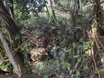 Terreno para Venda em São Felix da Marinha