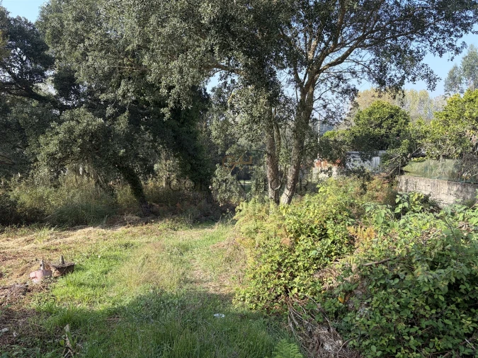 Terreno para Venda em São Felix da Marinha Foto 17