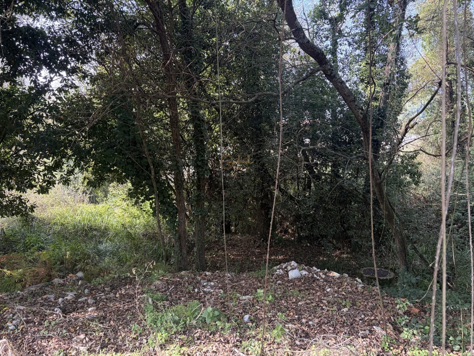 Terreno para Venda em São Felix da Marinha Foto 2