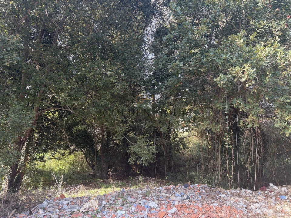 Terreno para Venda em São Felix da Marinha Foto 6