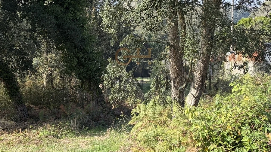 Terreno para Venda em São Felix da Marinha