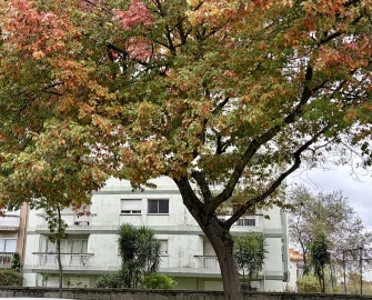 Apartamento T4 para Venda em Paranhos