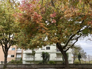 Apartamento T4 para Venda em Paranhos