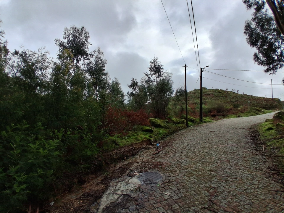 Terreno para Venda em Penhalonga e Paços de Gaiolo Foto 22