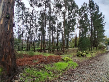 Terreno para Venda em Penhalonga e Paços de Gaiolo