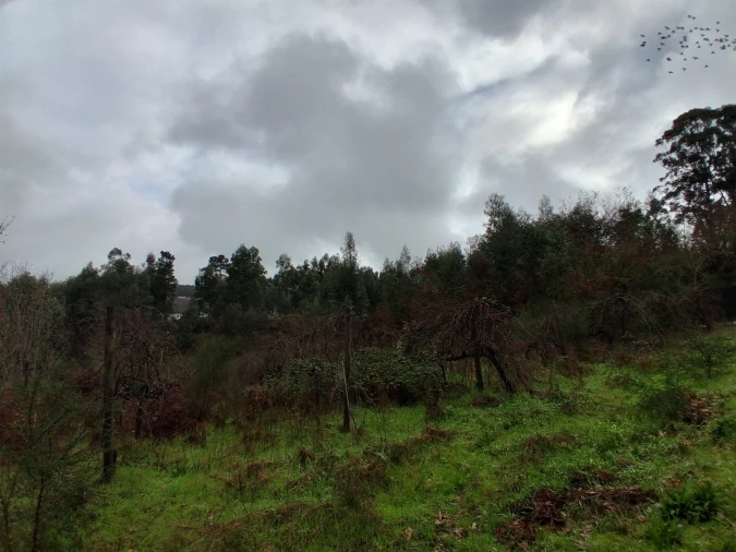 Terreno para Venda em Penhalonga e Paços de Gaiolo Foto 20