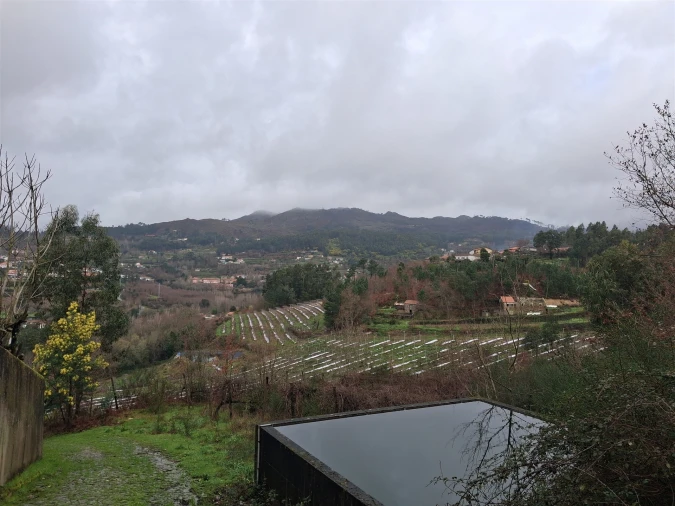 Terreno para Venda em Penhalonga e Paços de Gaiolo Foto 6