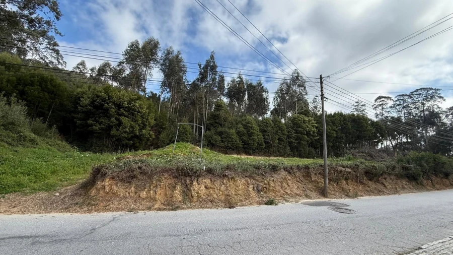 Terreno para Venda em Serzedo e Perosinho Foto 21