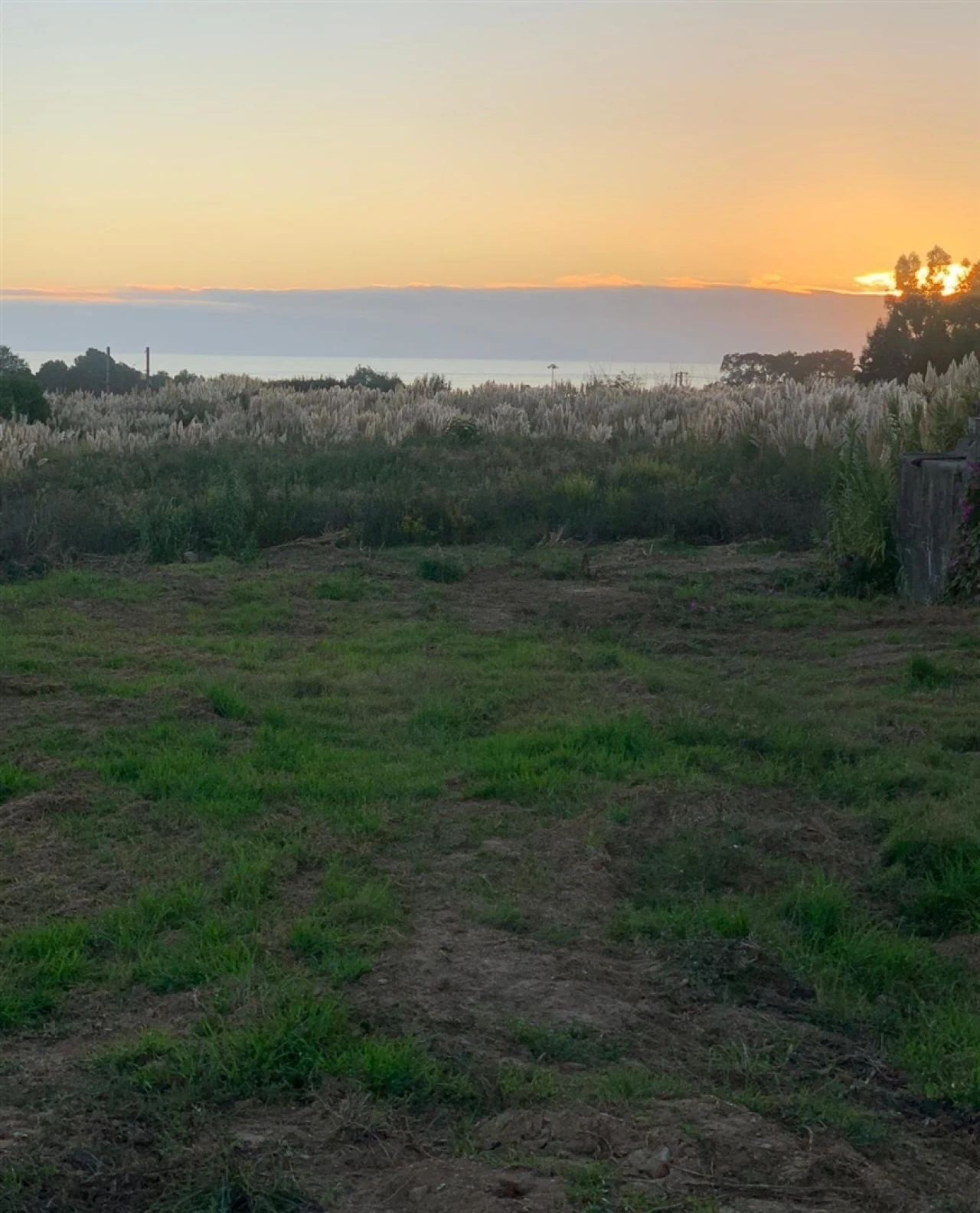 Terreno para Venda em Madalena Foto 21