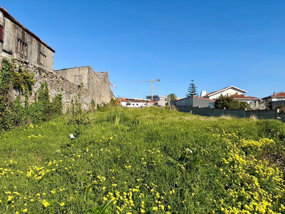 Terreno para Venda em Madalena Foto 2