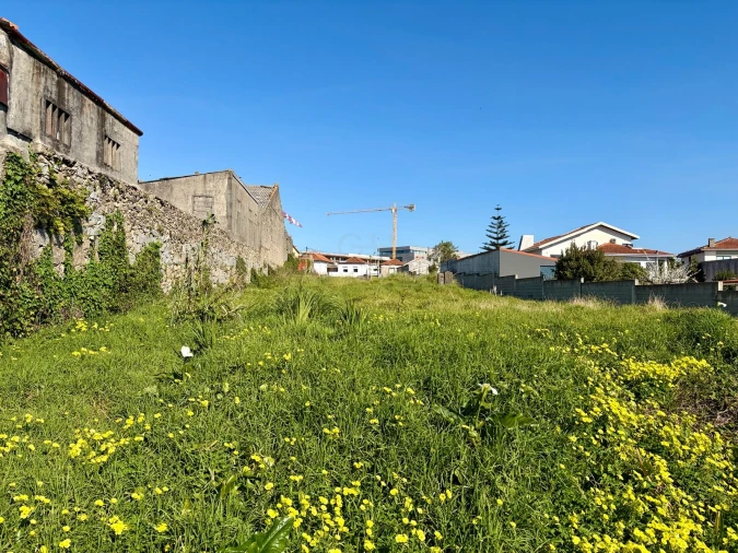 Terreno para Venda em Madalena Foto 2