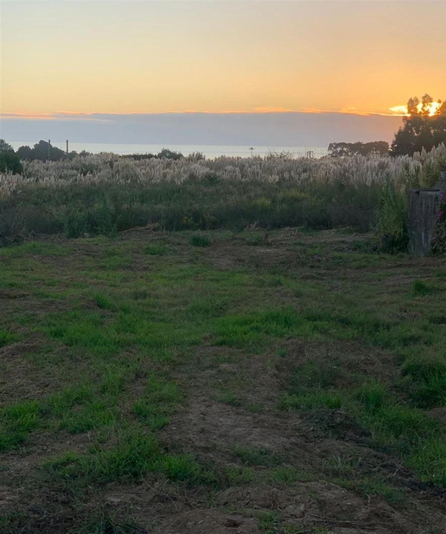 Terreno para Venda em Madalena Foto 15