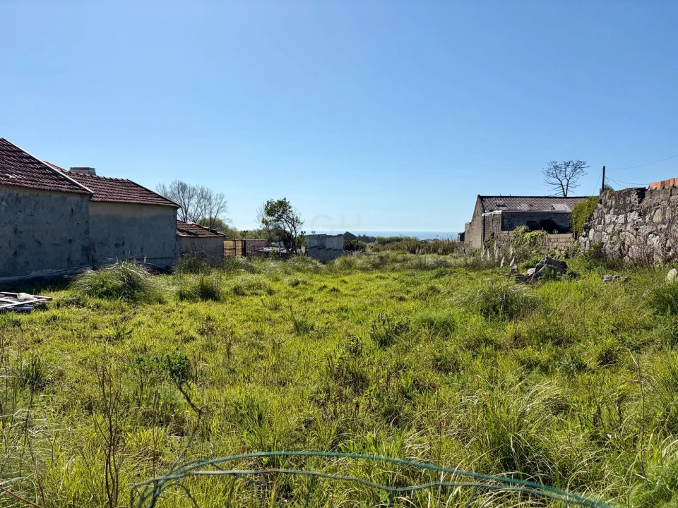 Terreno para Venda em Madalena Foto 11