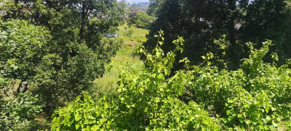 Terreno para Venda em Mafamude e Vilar do Paraíso