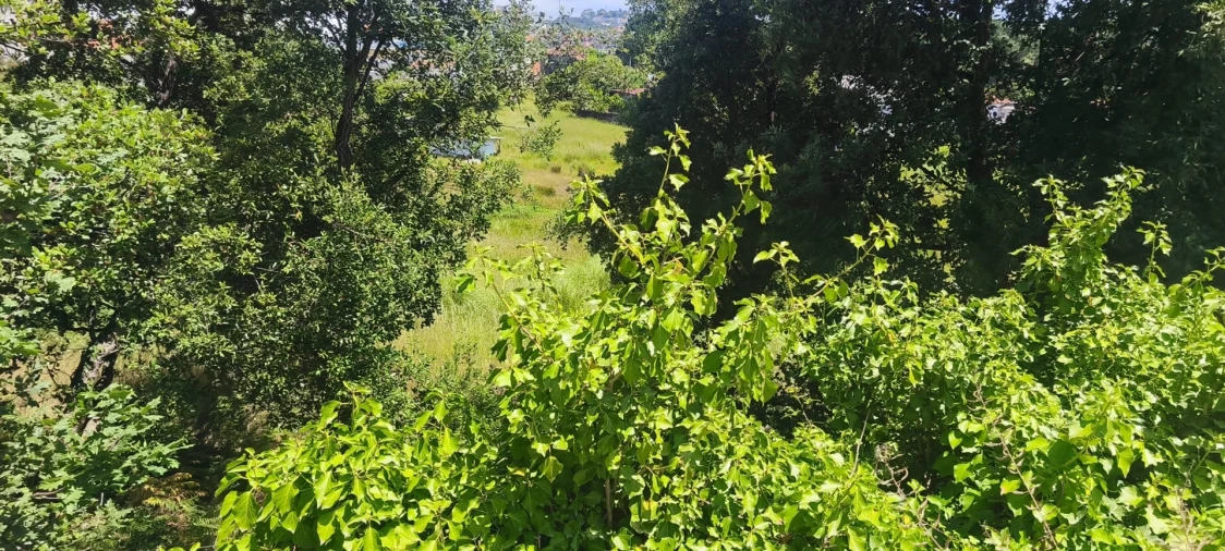 Terreno para Venda em Mafamude e Vilar do Paraíso Foto 4