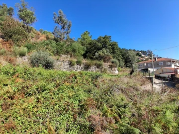 Moradia T1 para Venda em Baltar