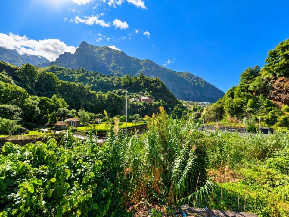 Moradia T2 para Venda em São Vicente Foto 45