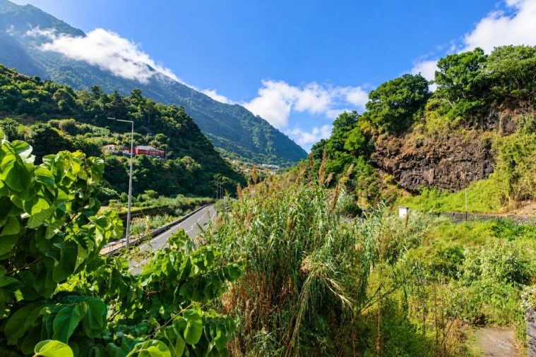 Moradia T2 para Venda em São Vicente Foto 7